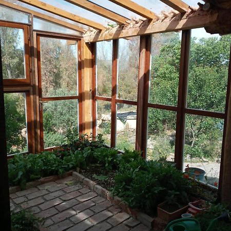 Гостевой дом Country Living School Laconi Экстерьер фото